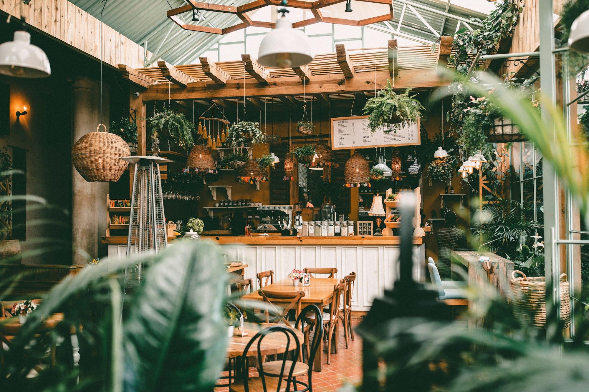 Interior de la cafetería con mesas de madera, plantas colgantes y techo de cristal